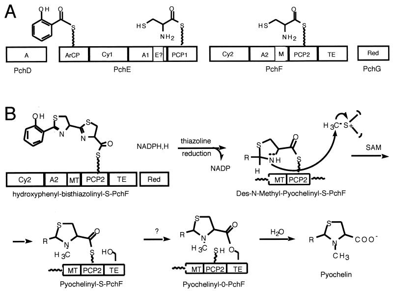 FIG. 16.