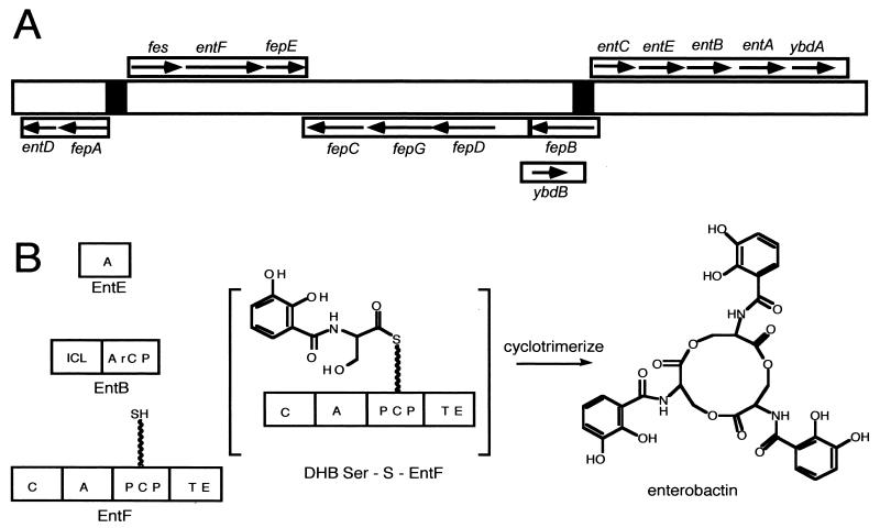 FIG. 6.