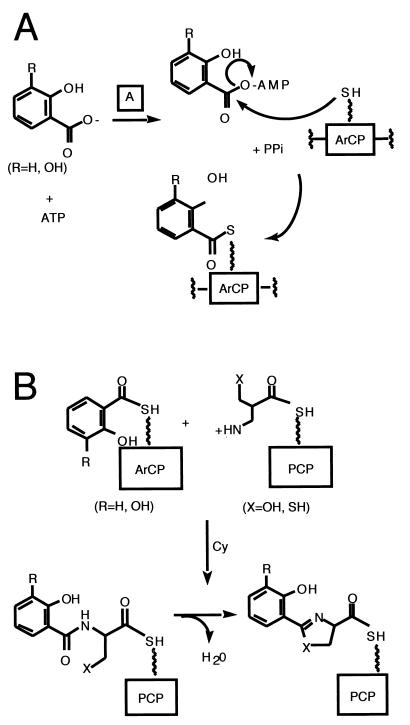 FIG. 5.