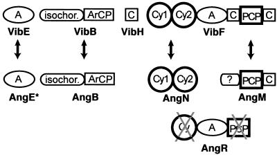 FIG. 13.