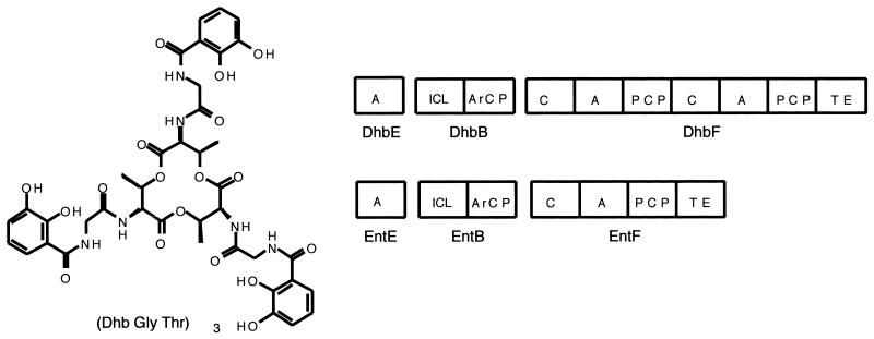 FIG. 8.