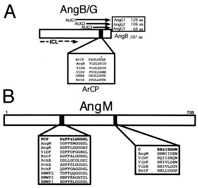 FIG. 11.