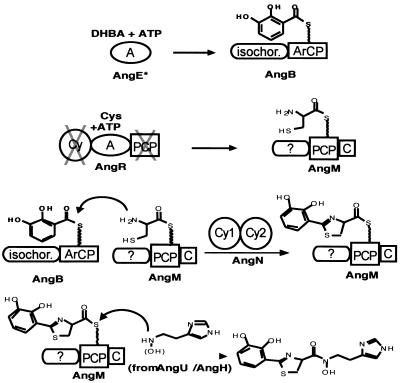 FIG. 14.