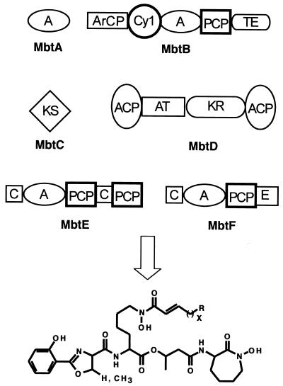 FIG. 21.