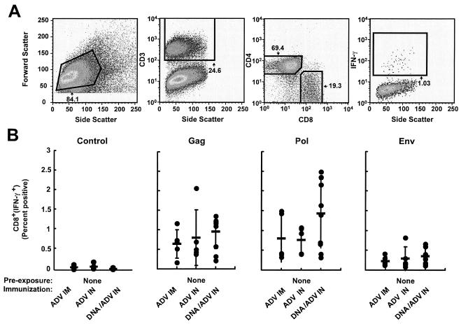 FIG. 1.