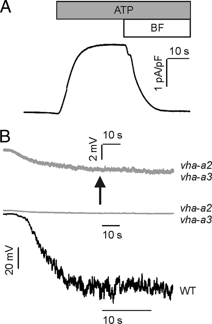 FIGURE 1.