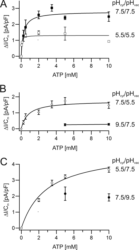 FIGURE 4.