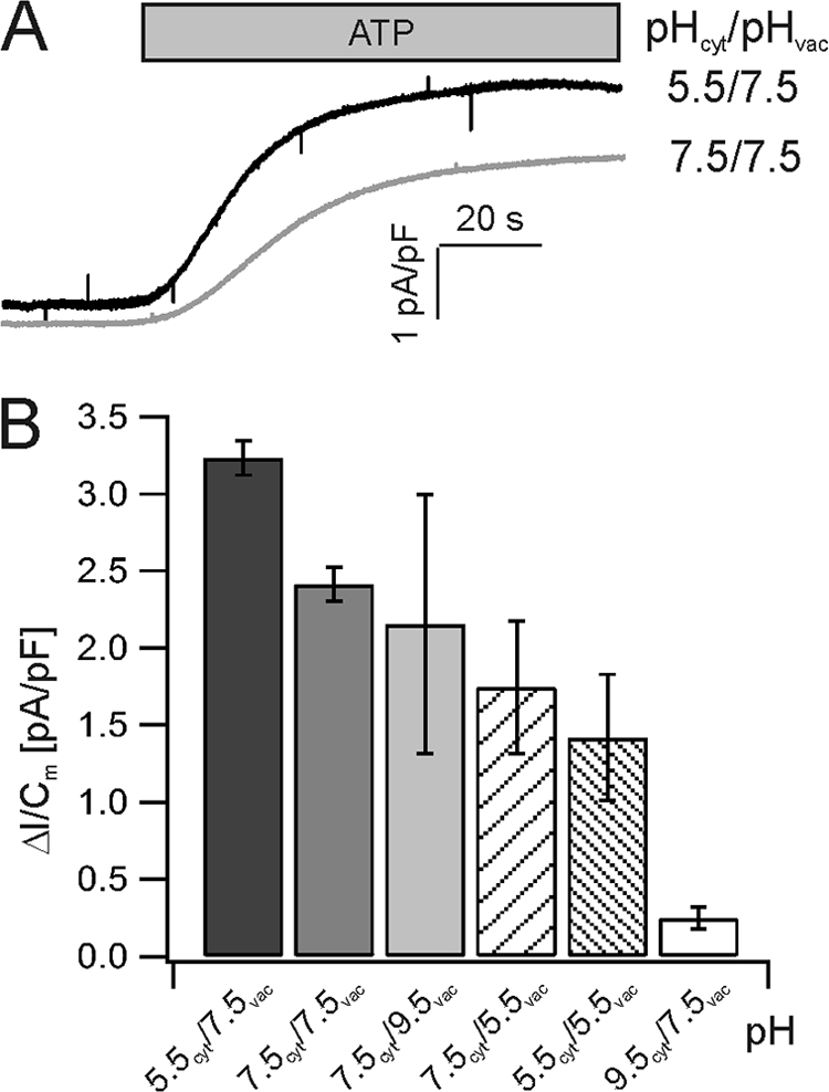 FIGURE 3.