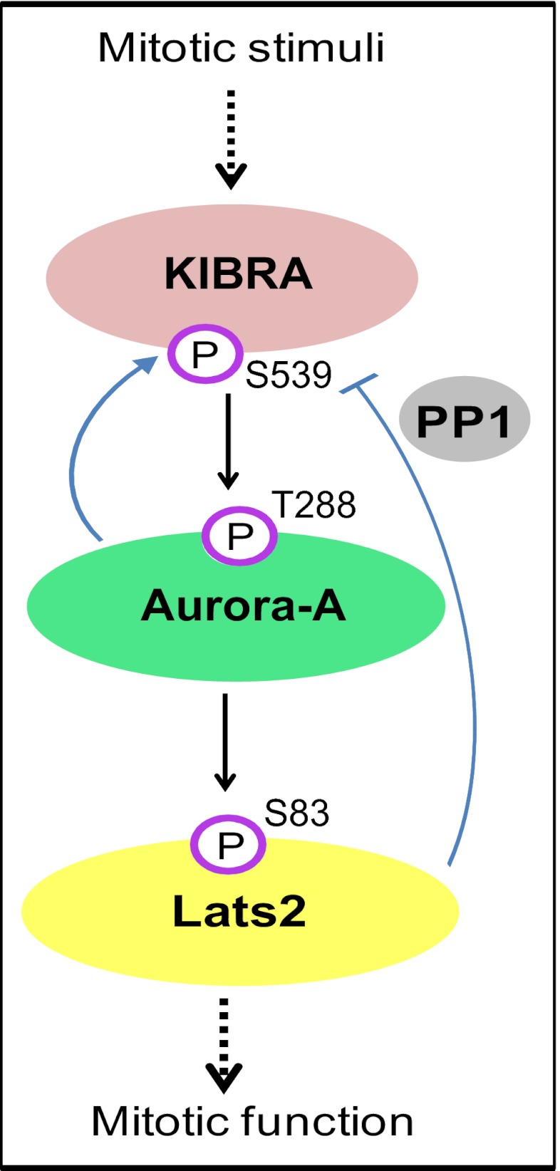 FIGURE 7.