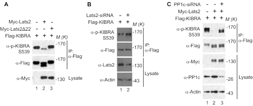 FIGURE 4.