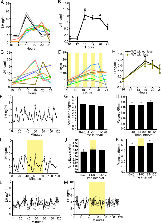 Figure 5—figure supplement 2.