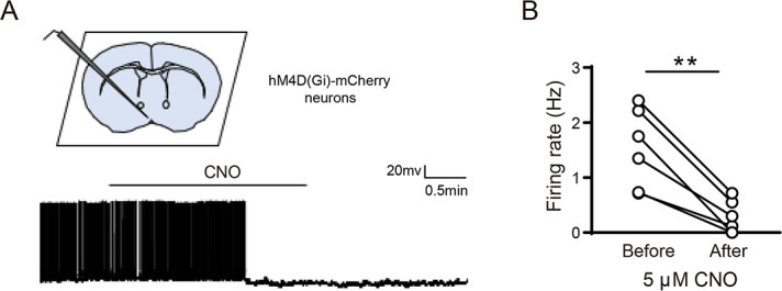 Figure 2—figure supplement 2.