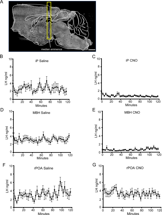 Figure 3—figure supplement 1.