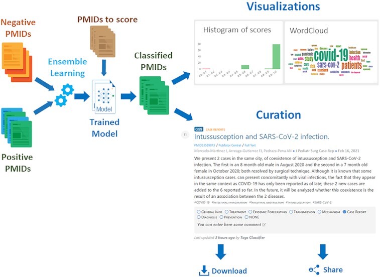 Graphical Abstract