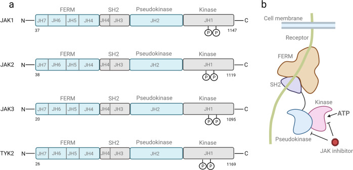 Fig. 1