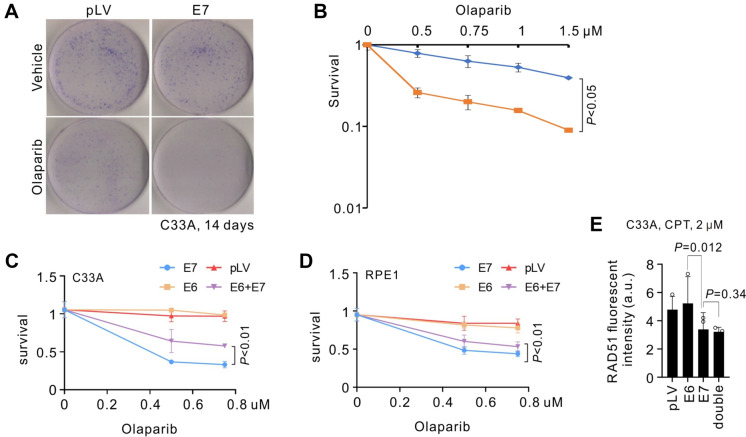 Fig. 4