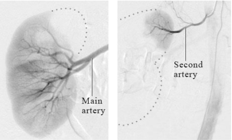 Fig. 5.