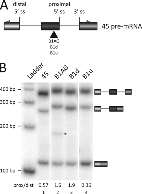 FIGURE 4.