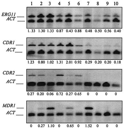 FIG. 4.