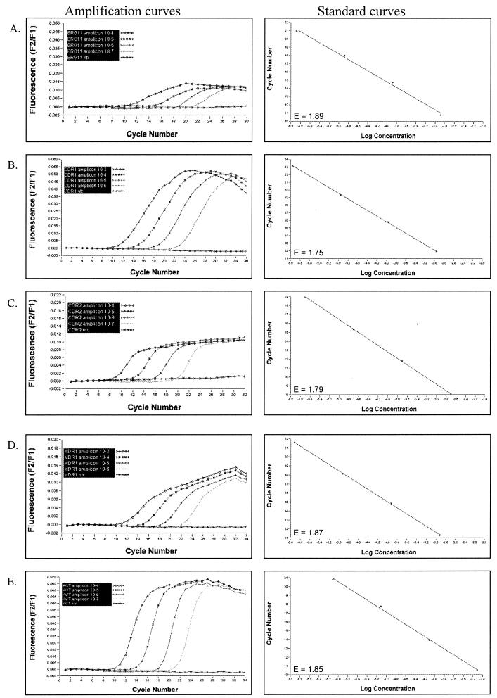 FIG.3.