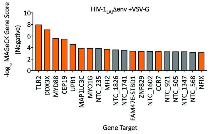 Figure 6—figure supplement 1.