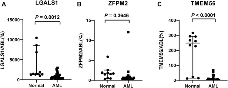 FIGURE 11