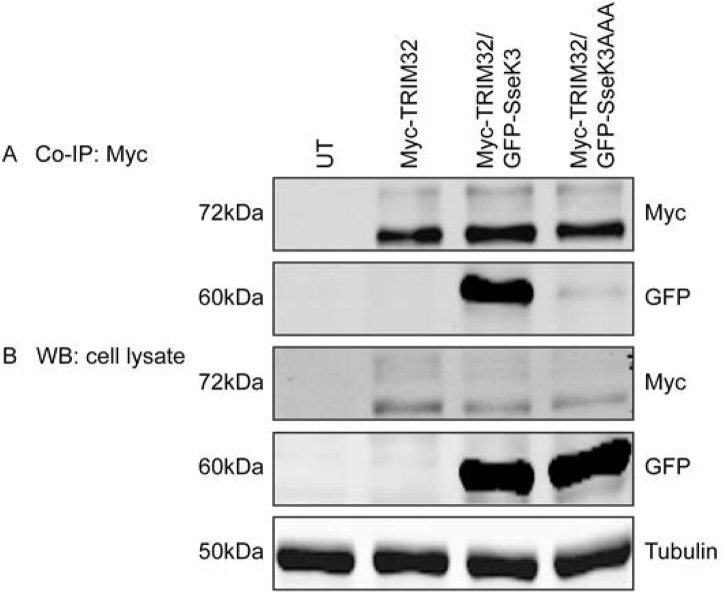 Fig 5