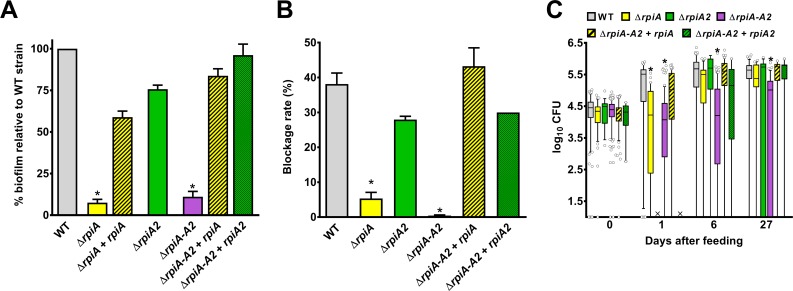 Fig 6