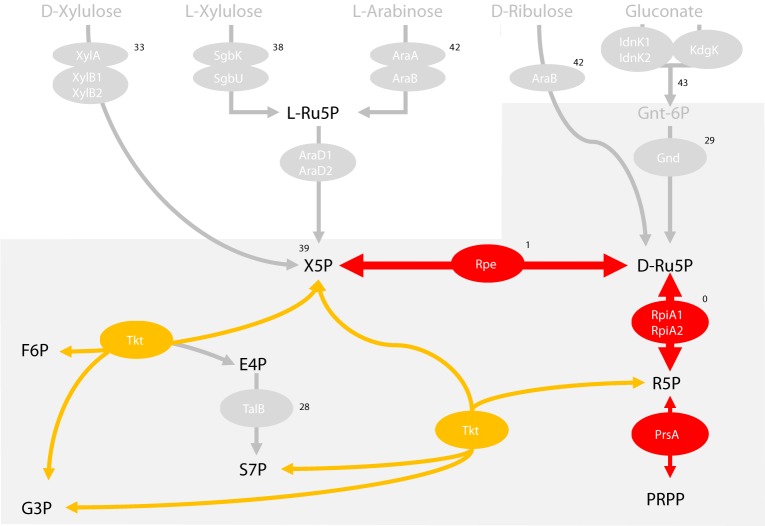 Fig 11