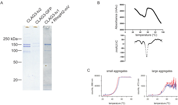 Figure 1—figure supplement 2.