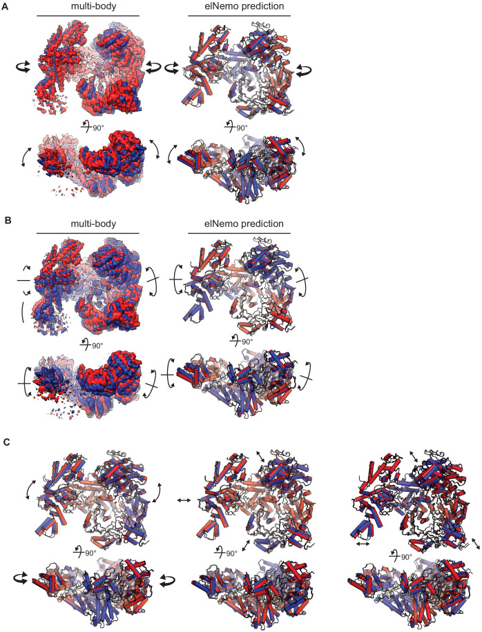 Figure 2—figure supplement 2.