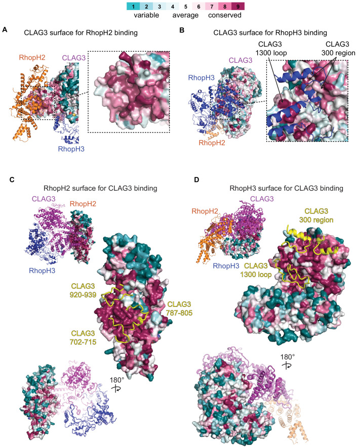 Figure 2—figure supplement 4.