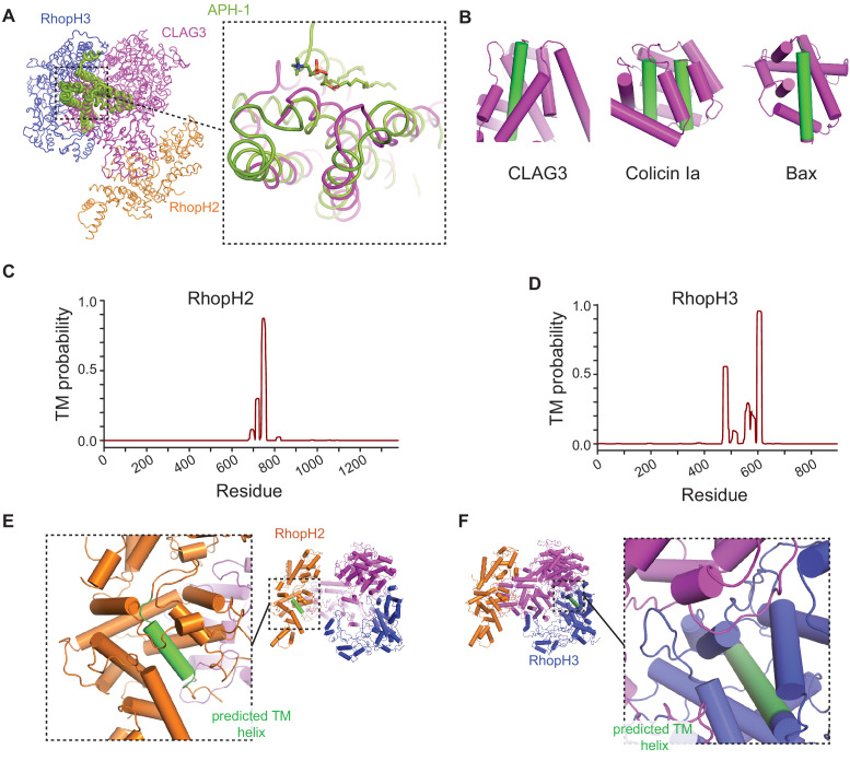 Figure 3—figure supplement 1.