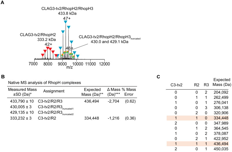 Figure 1—figure supplement 1.