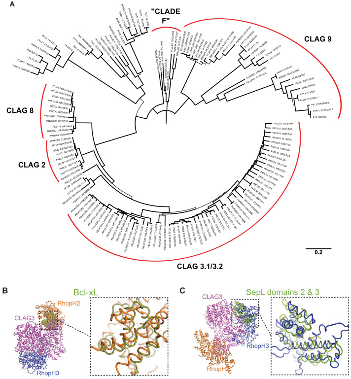 Figure 2—figure supplement 5.