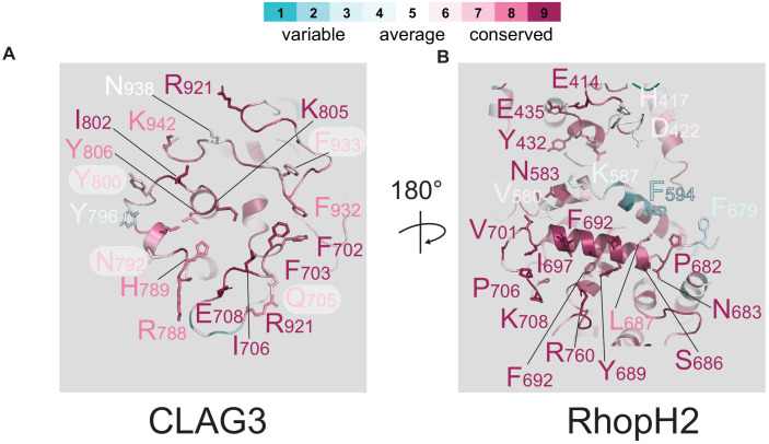 Figure 2—figure supplement 3.