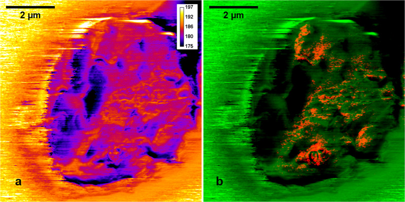 Fig. 6