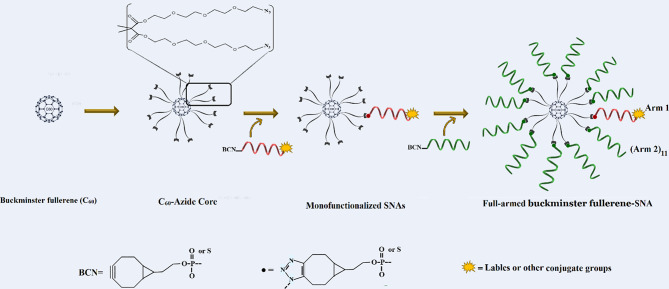 Fig. 10