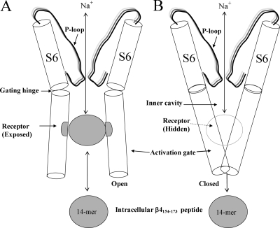 Figure 14.