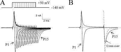 Figure 5.