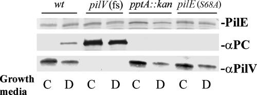 FIG. 5.