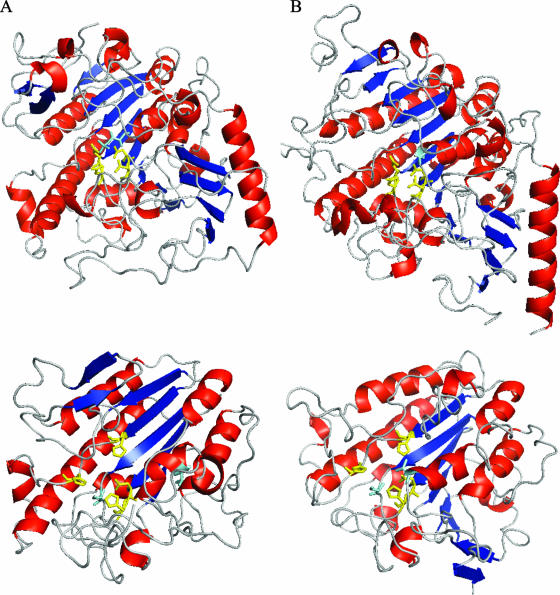 FIG. 7.