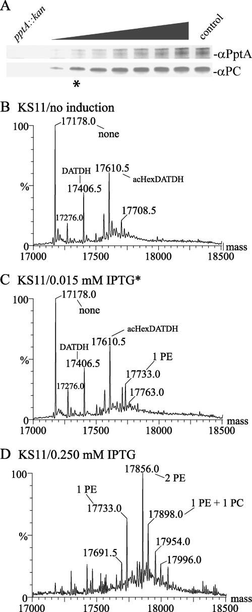 FIG. 4.