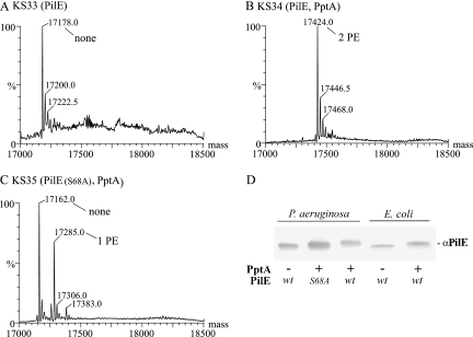 FIG. 10.