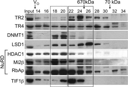 Fig. 9.