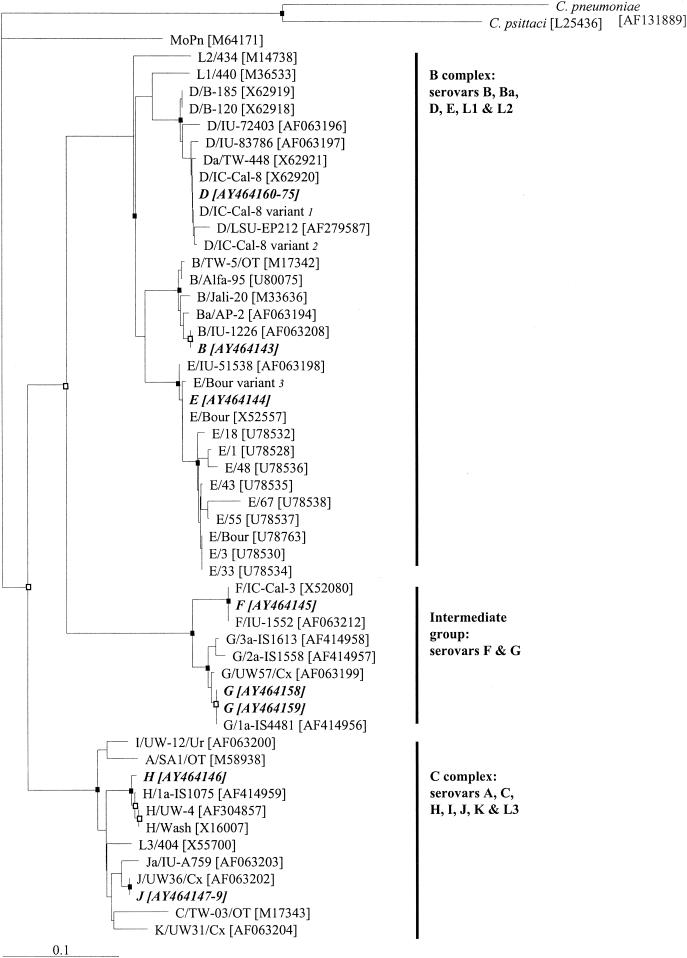 FIG. 1.