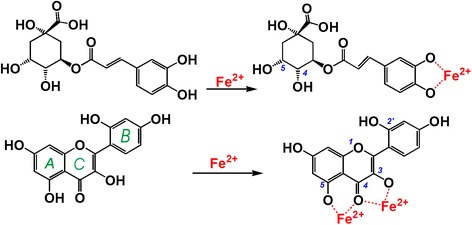 Fig. 7