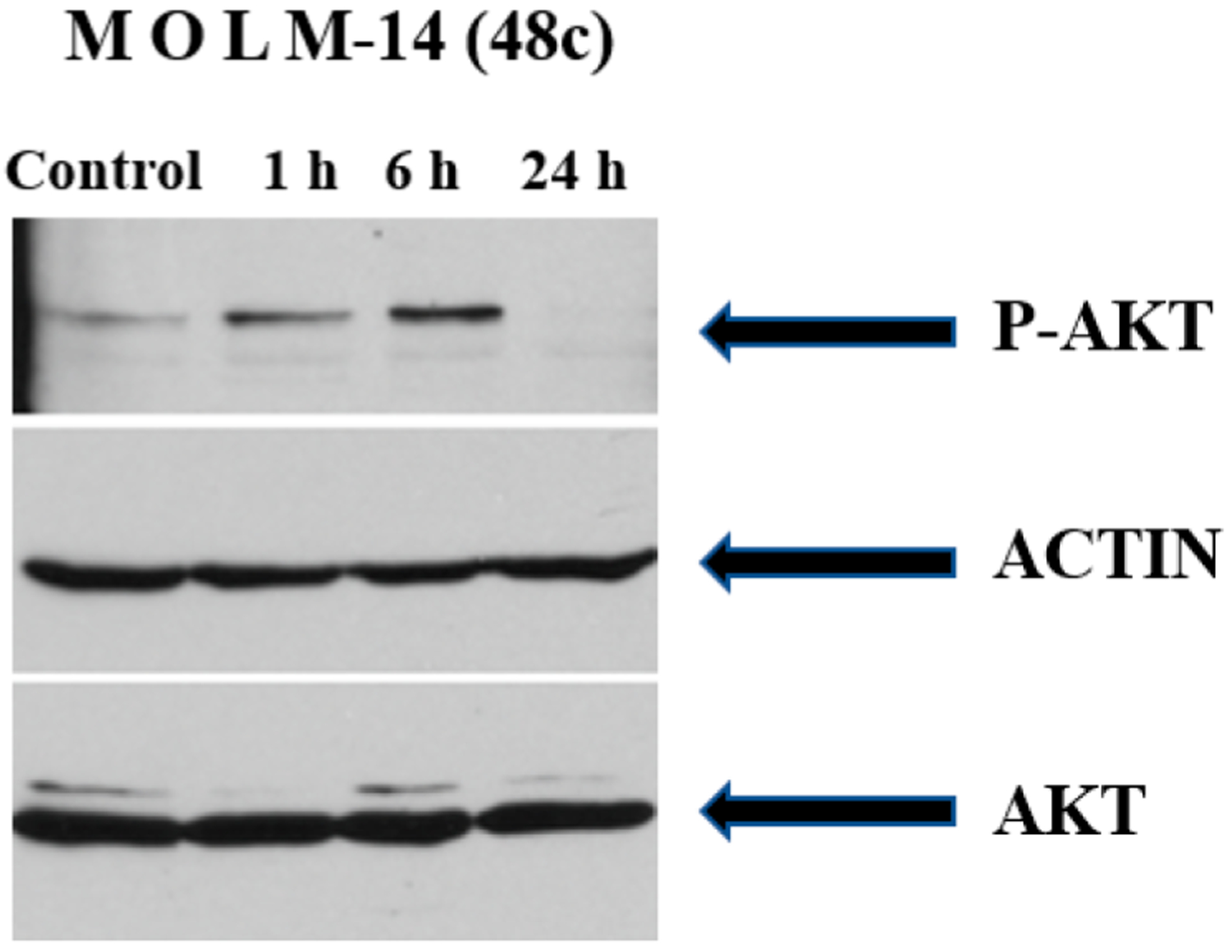 Figure 11.