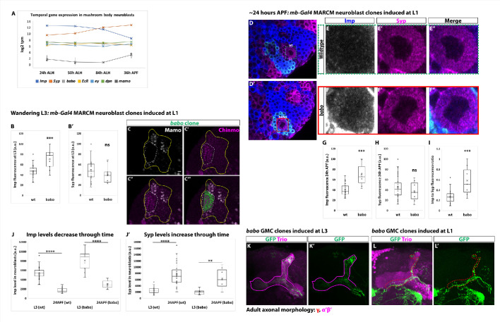 Figure 2—figure supplement 1.