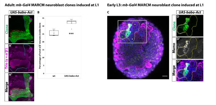 Figure 3.